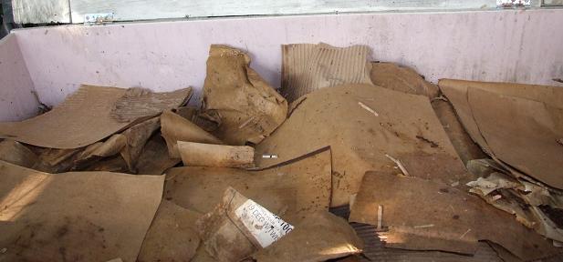 cover with cardboard